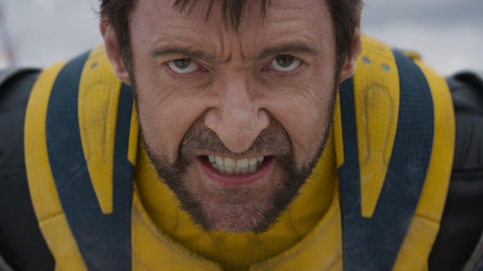Deadpool & Wolverine Trash Talk Continues With Ryan Reynolds Slamming Hugh Jackman as a 'Bald-Faced Coward'