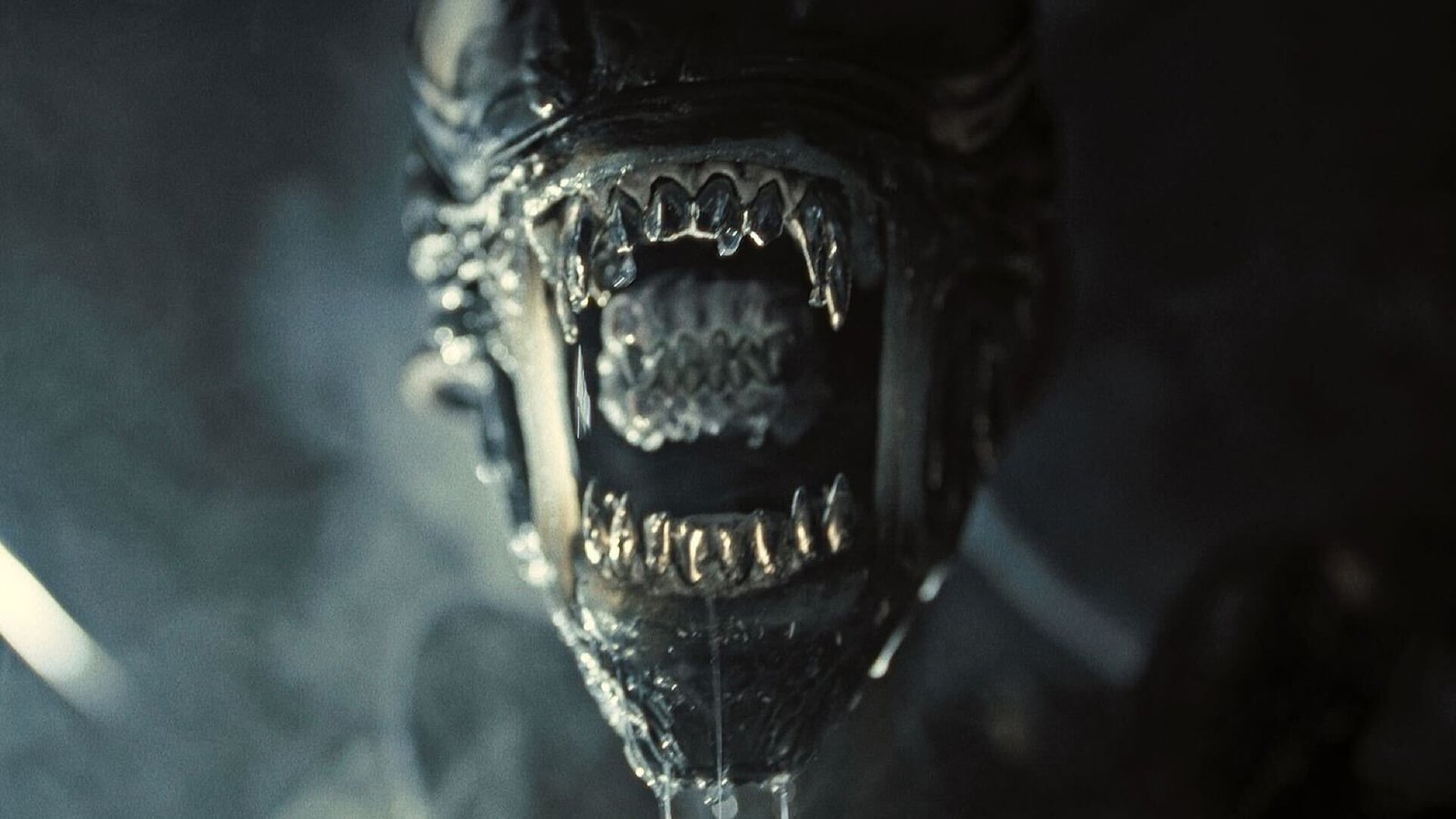 Romulus Unleashes Best Look at Its Classic Xenomorph Design That Will Make Fans Happy