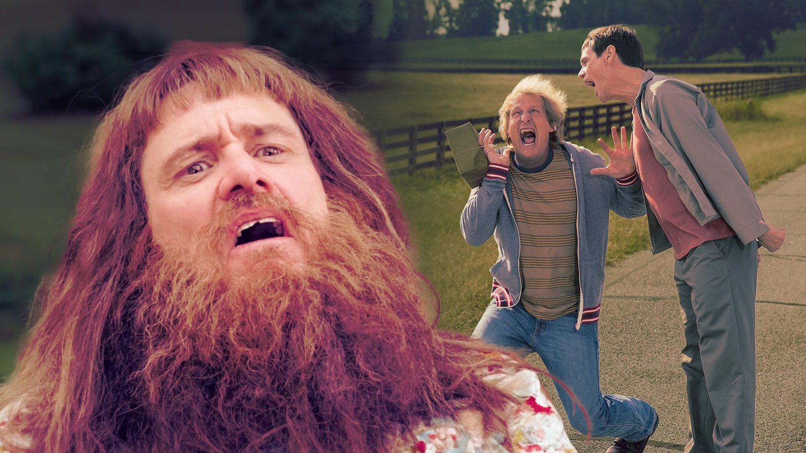 Dumb and Dumber To’s Netflix Success Reminded Fans that It Aged Horribly