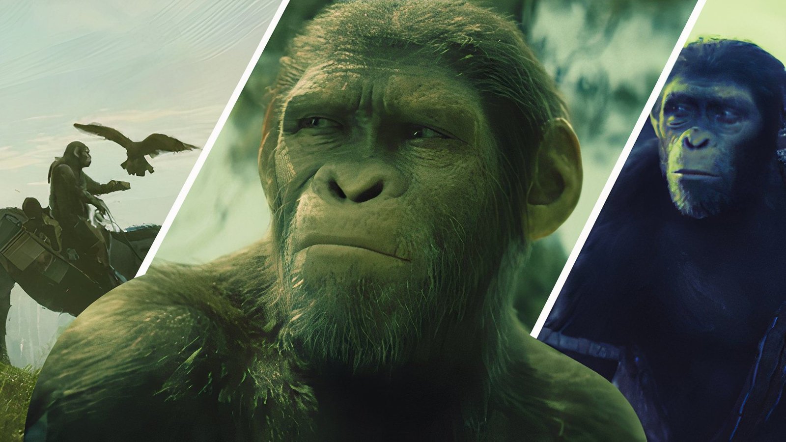 Kingdom of the Planet of the Apes' Ending Sets Up a Sequel Perfectly