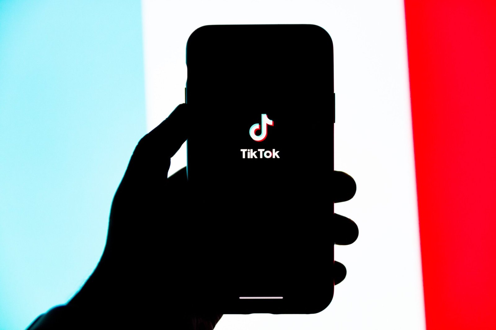 TikTok law threatening a ban if the app isn't sold raises First Amendment concerns