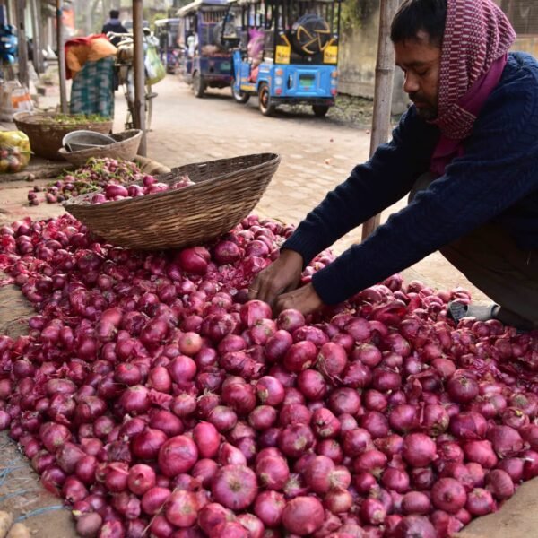 Onion could be holding India's economy hostage