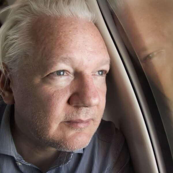 Julian Assange Bitcoin