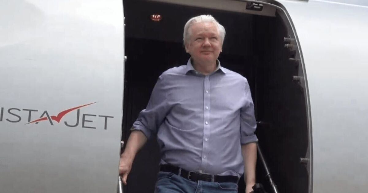 Wikileaks wants public to pay Julian Assange's £520K flight bill and health recovery costs | UK | News