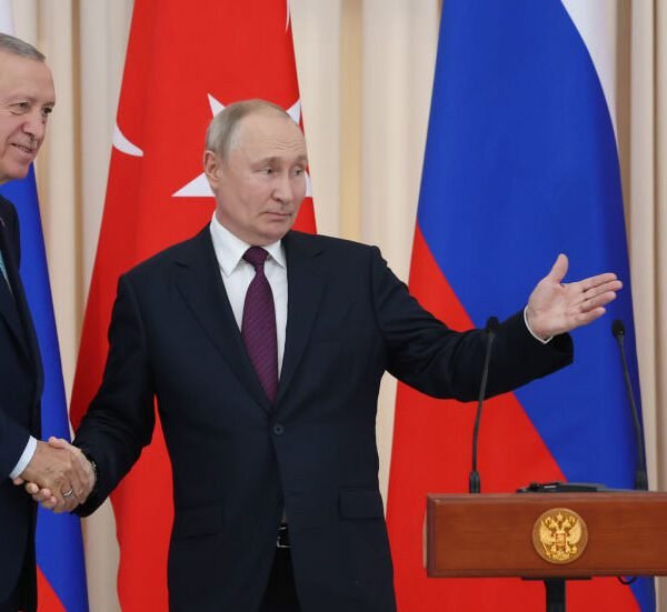 Erdogan to hold talks with Putin – Turkish FM — RT World News