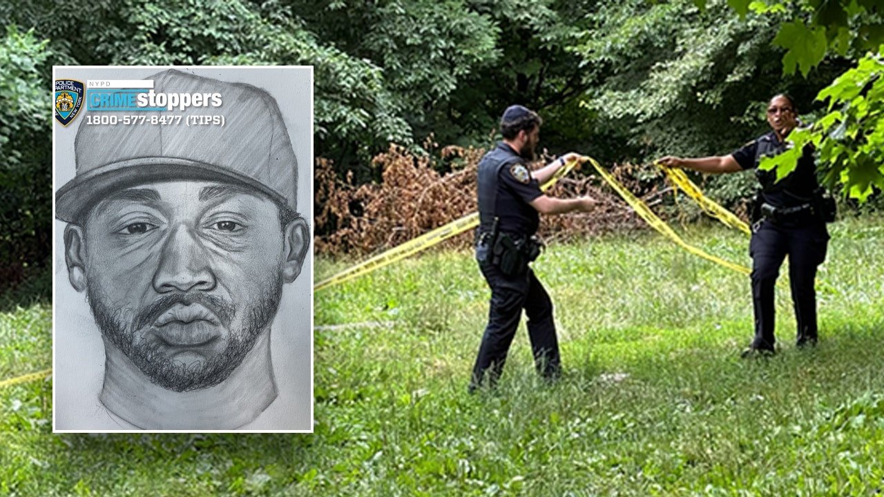 Sketch shows attempted rape suspect in broad daylight attack on woman tanning in famous park