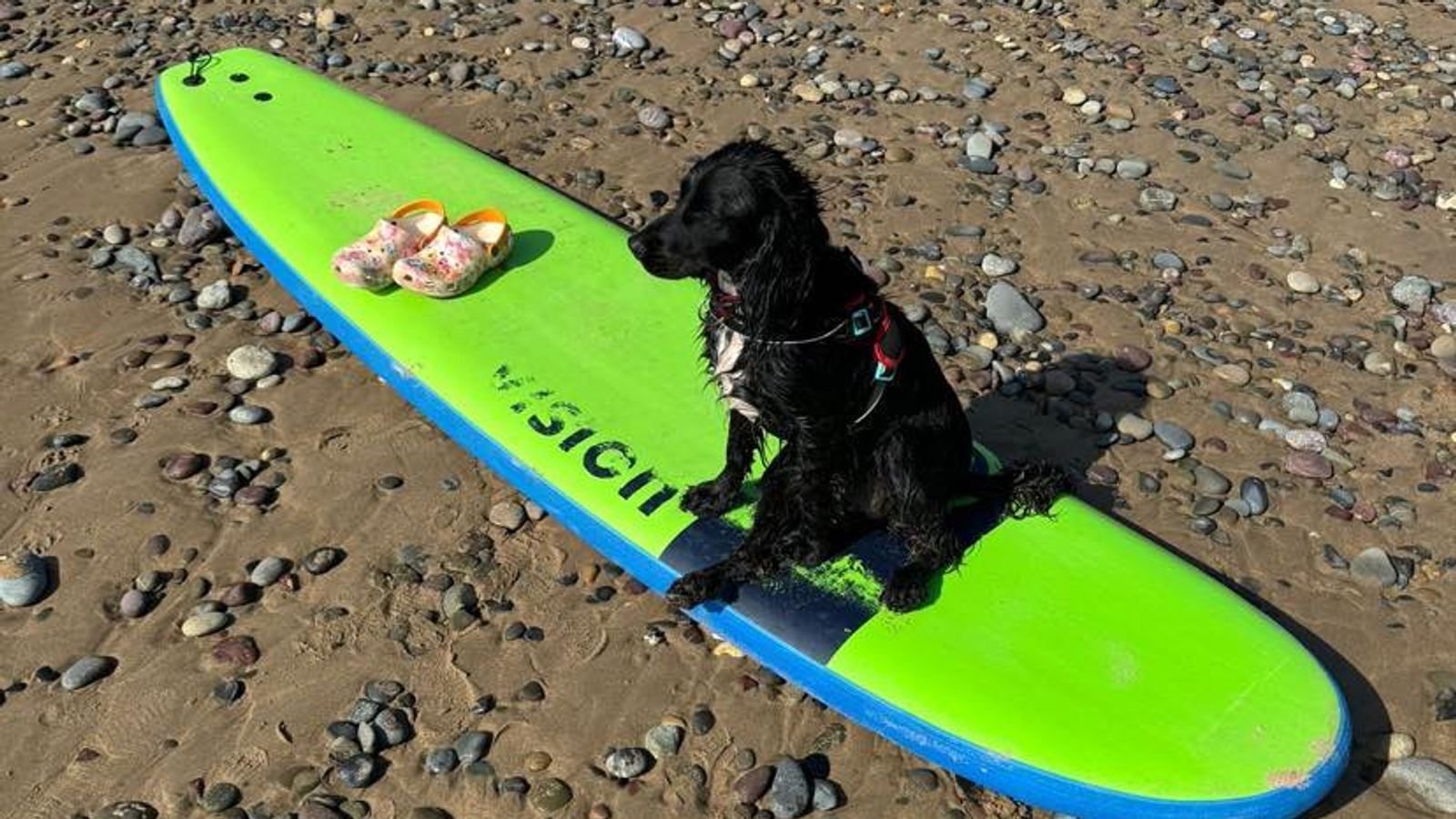 Ariel has been paddle-boarding since moving into her new home. Pic: Ollie Bird