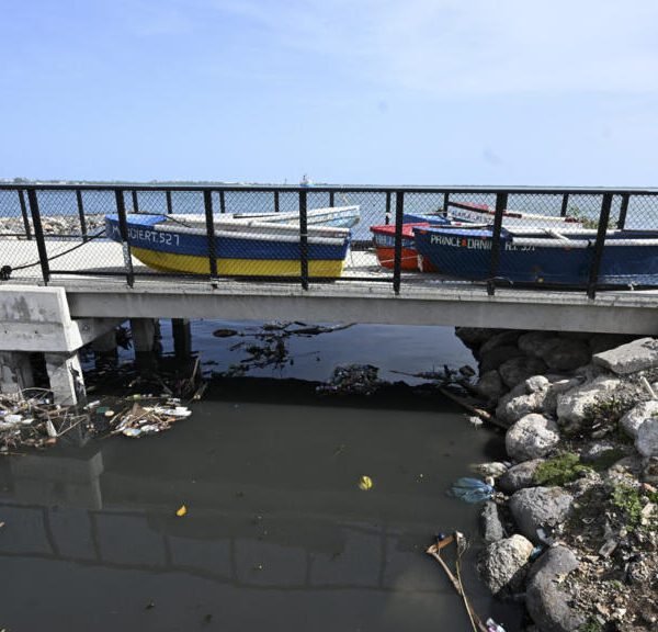 Five killed as Hurricane Beryl makes its way towards Jamaica