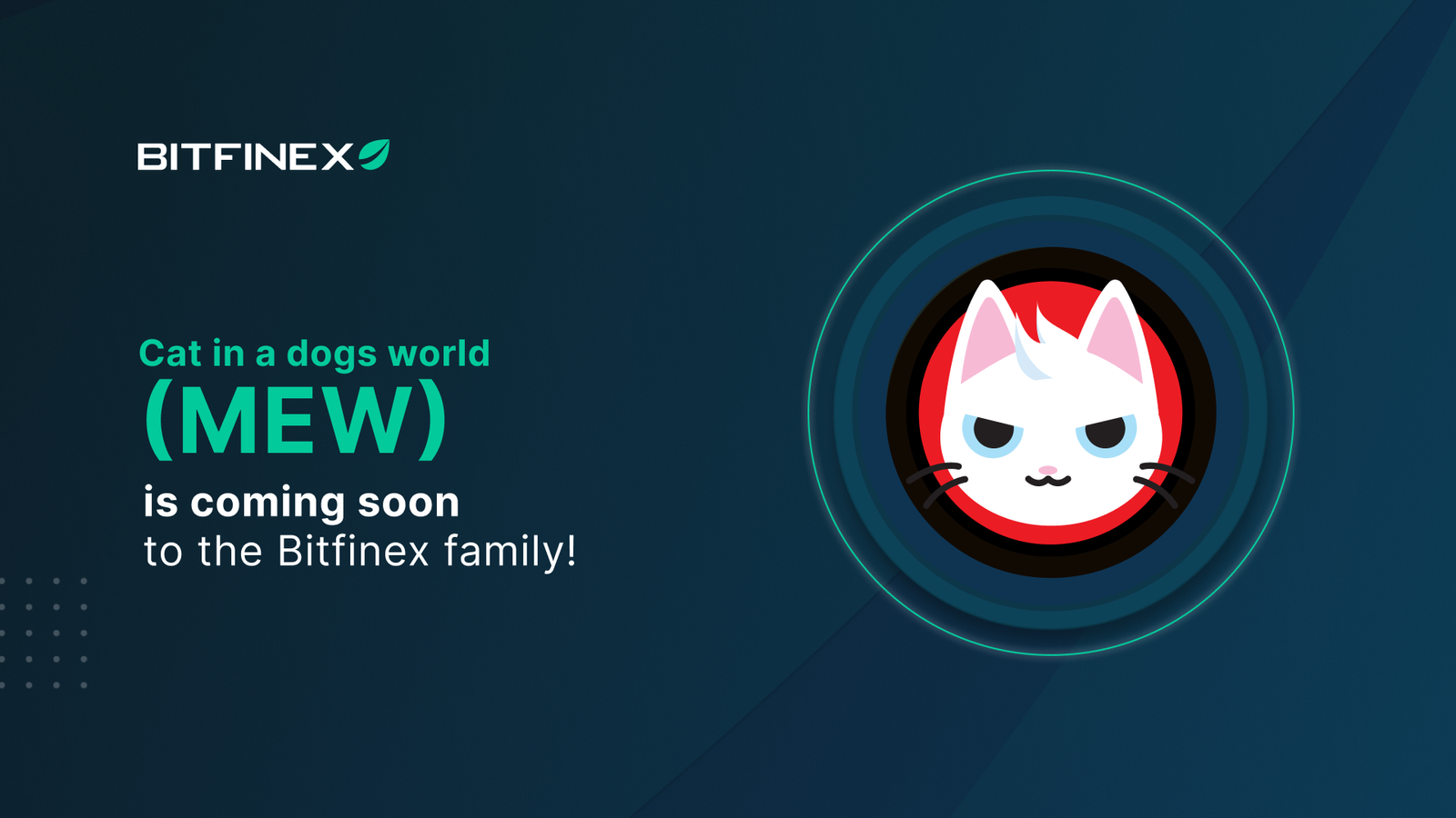 Bitfinex to List MEW, Native Token of cat in a dogs world