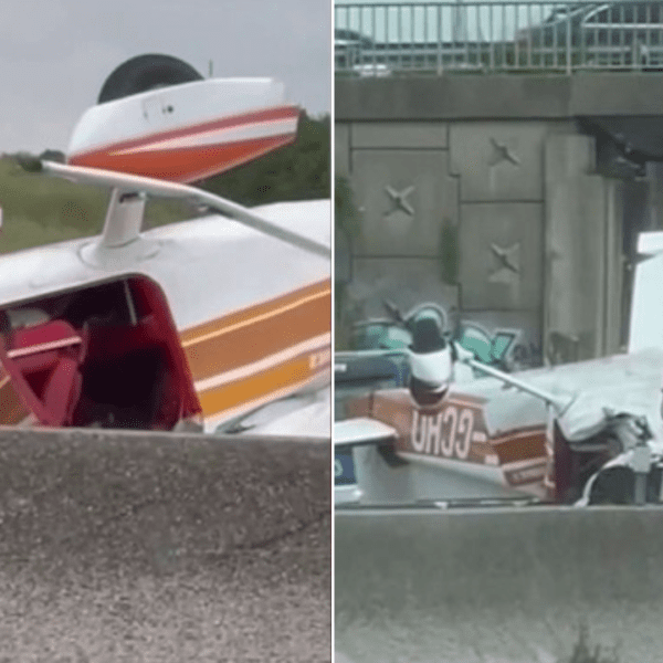 Three dead after tourist plane crashes on French highway: video