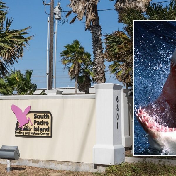 Texas beachgoers terrorized after 4 people bitten by shark on Fourth of July
