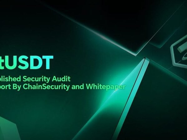 stUSDT published security audit report by ChainSecurity and whitepaper