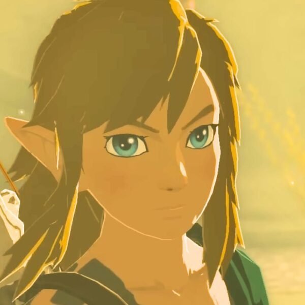 How Old Is Link In Zelda: Tears Of The Kingdom?